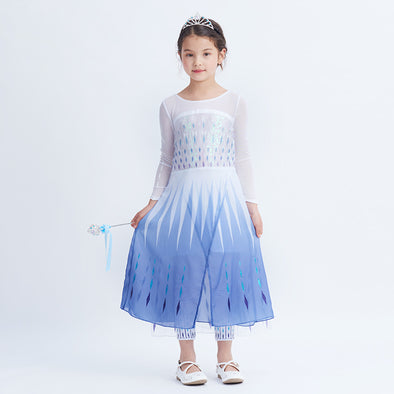 Snow Queen Elsa Princess Costumes Dress 2-12 Years