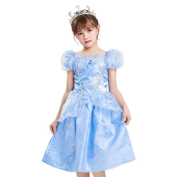 Girls Princess Dress Cinderella Costume