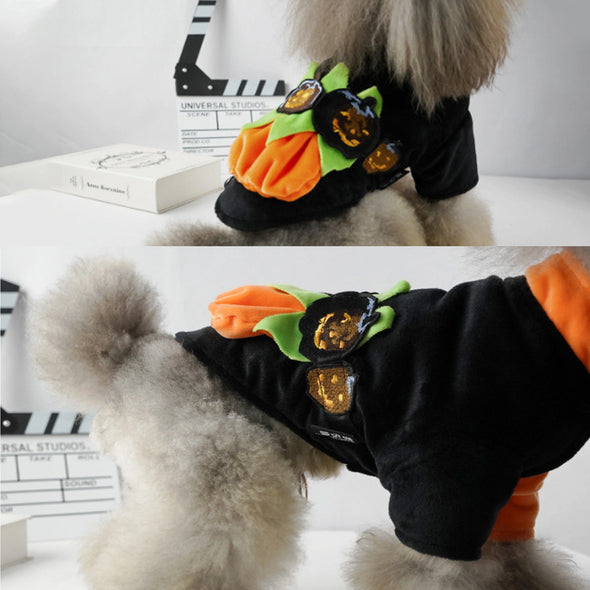 2 Pack Halloween Cat Dog Costume, Pet Pumpkin Cosplay Accessories Puppy Medium Dogs Cats