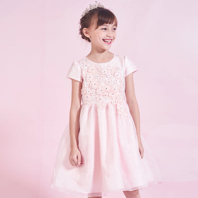 Girls Party Dress Flower Embroidery Puffy