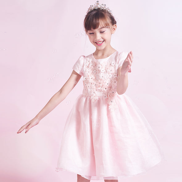 Girls Party Dress Flower Embroidery Puffy